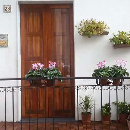 Guest House Le Ginestre Dell'Etna Belpasso Zewnętrze zdjęcie