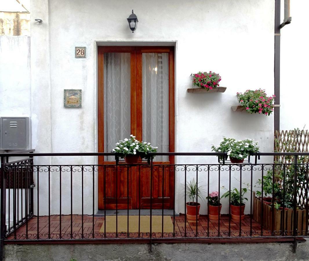 Guest House Le Ginestre Dell'Etna Belpasso Zewnętrze zdjęcie