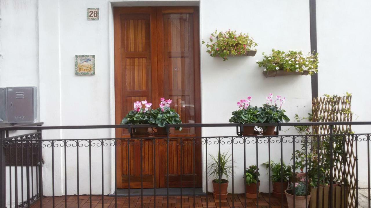 Guest House Le Ginestre Dell'Etna Belpasso Zewnętrze zdjęcie