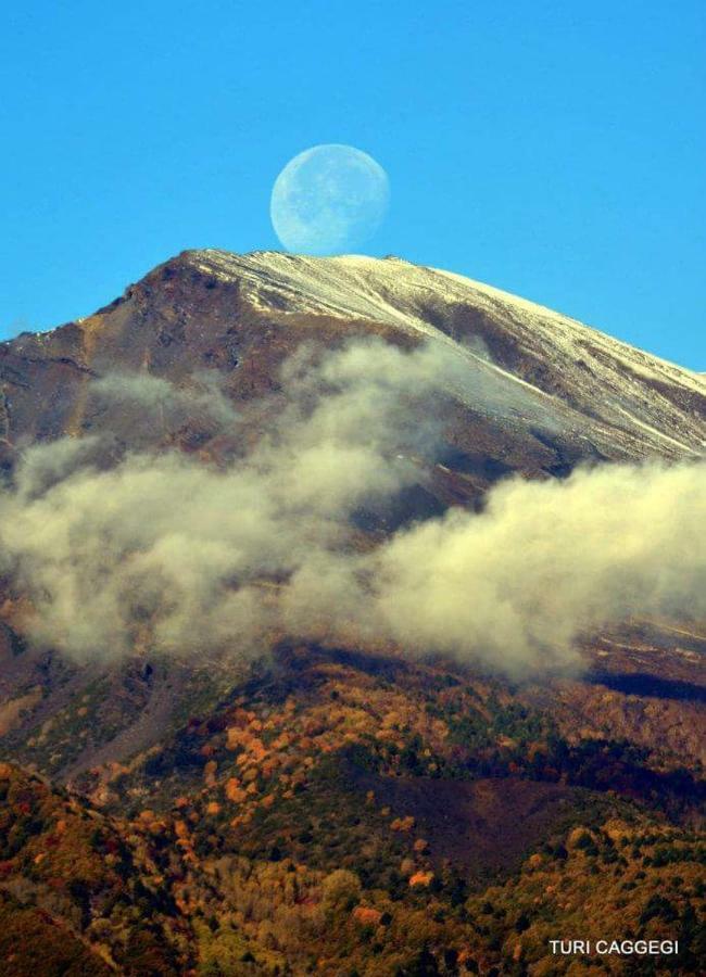Guest House Le Ginestre Dell'Etna Belpasso Zewnętrze zdjęcie